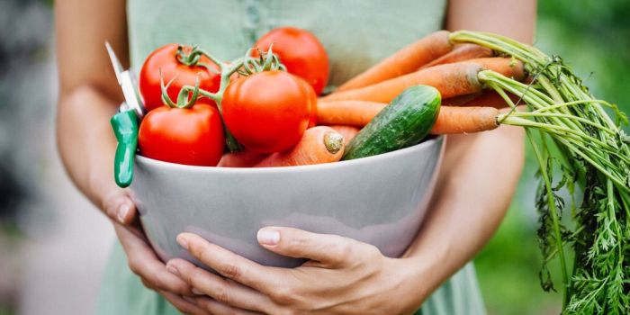person holding a vibrant bowl of vegetables