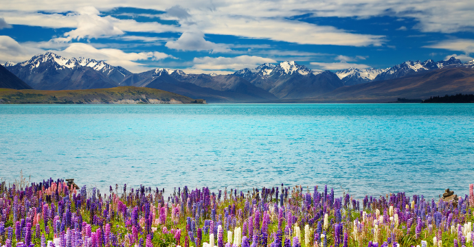 Lac Tekapo 