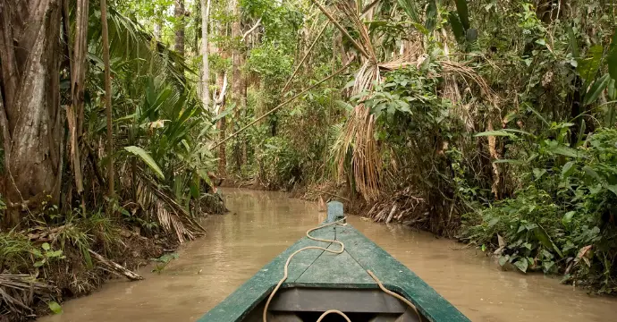 Pérou - circuits dans la forêt amazonienne