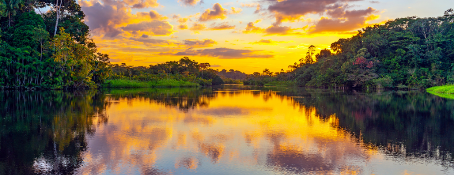 Tours of the Amazon Rainforest