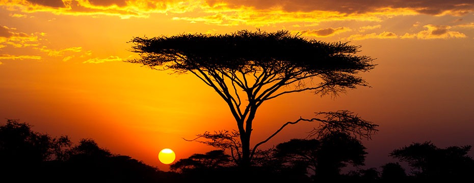 Hadza : La tribu la plus unique de Tanzanie