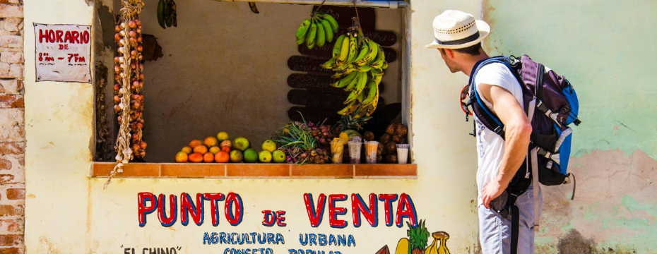 best vegetarian and vegan destinations