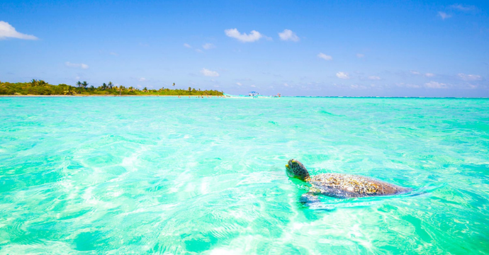 République dominicaine - Îles des Caraïbes