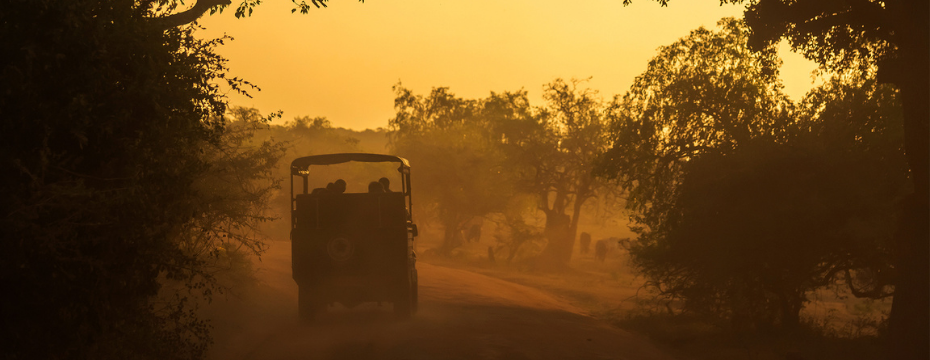 Animals in Sri Lanka; wildlife safaris