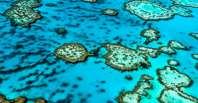 Grande Barrière de Corail