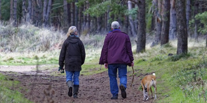 An older couple walking their dog in the woods