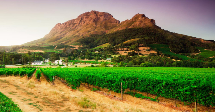 Cape Winelands - les meilleures destinations vinicoles au monde