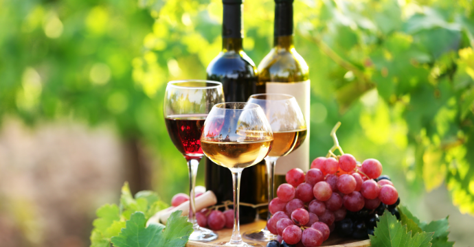 Bordeaux - les meilleurs endroits pour faire des dégustations de vin