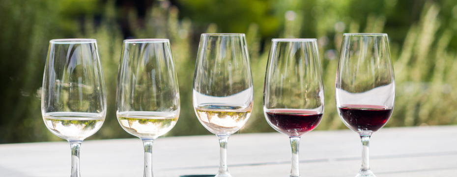 Best wine destinations in the world