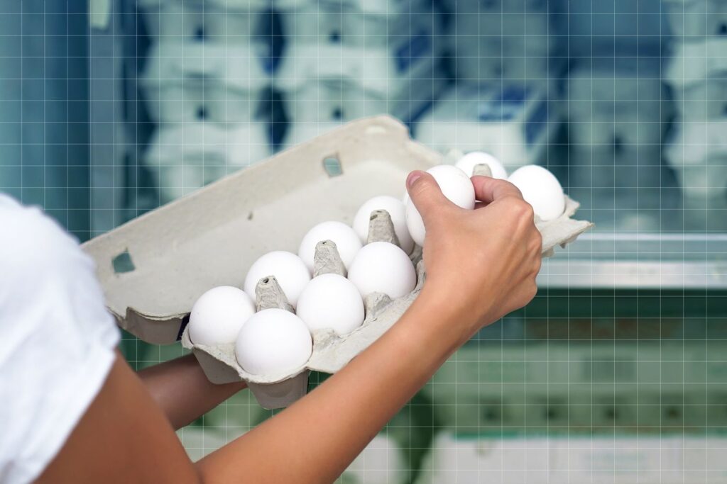 Est-il prudent de manger des œufs, du poulet ou des produits laitiers pendant l'épidémie de grippe aviaire ?