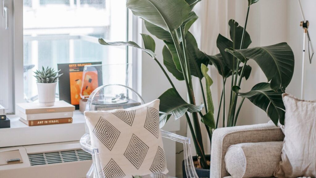 Choisissez parmi ces accessoires de décoration et découvrez quel style vous convient Escoge entre estos accesorios decorativos y descubre qué estilo te pega