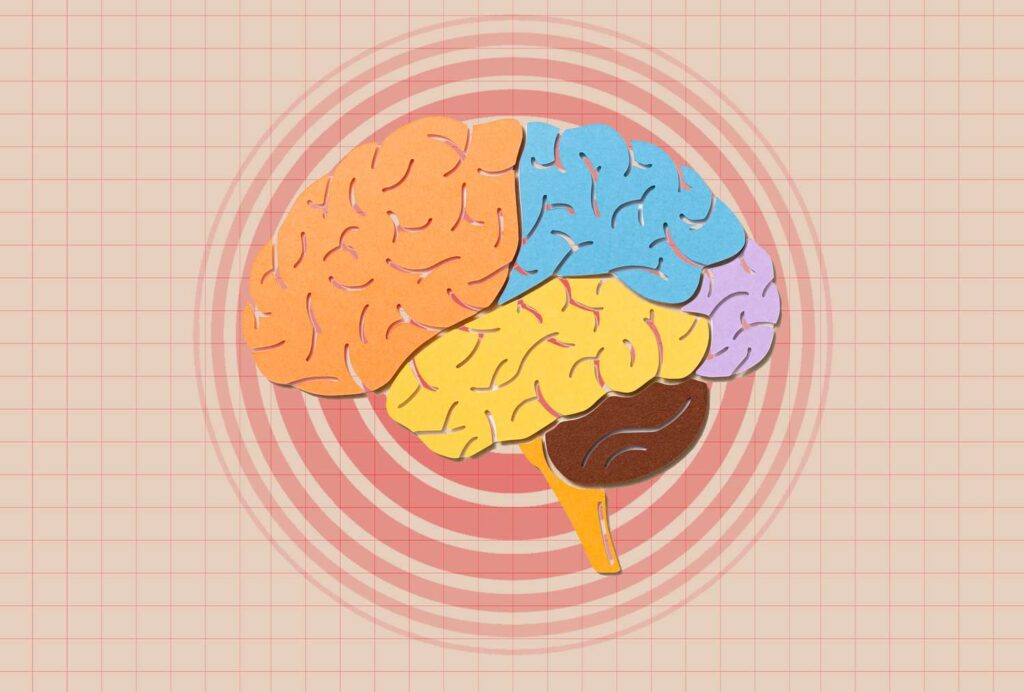 L'inflammation au début de l'âge adulte peut influencer la cognition au milieu de la vie