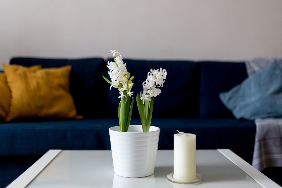 Maison avec des fleurs Jacinto