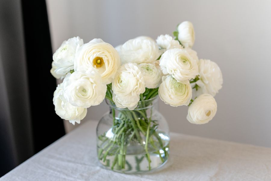 Fleurs pour Ranunculos