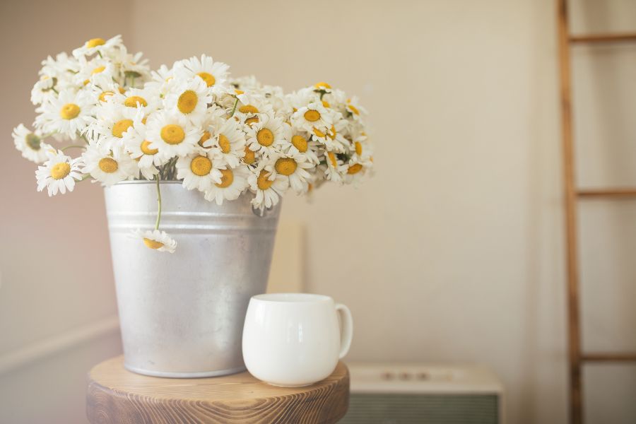 Décoration avec des fleurs de margaritas
