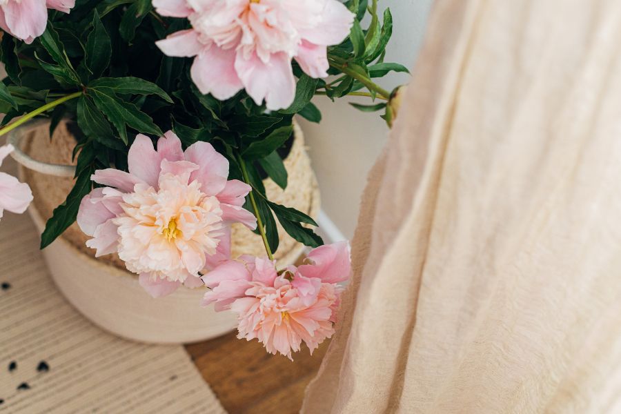 Idées de Peonias à décorer avec des fleurs