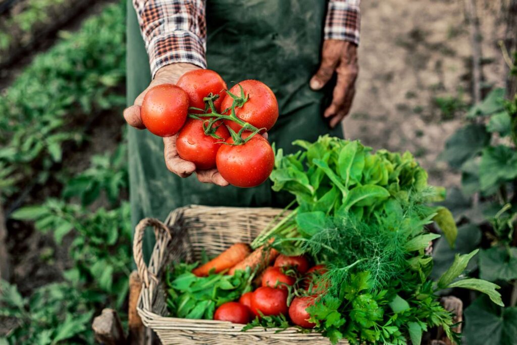 Les droits de douane pourraient rendre les produits d’épicerie plus chers – voici une façon intelligente de contourner le problème Les droits de douane pourraient rendre les produits d'épicerie plus chers - voici une façon intelligente de contourner le problème