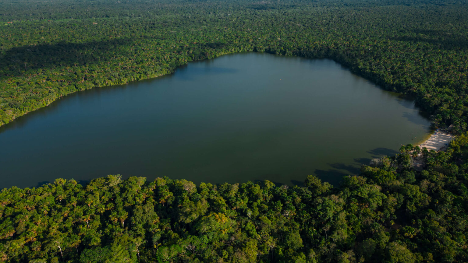 Découvrez Quistococha: un paradis amazonien caché près de Iquitos