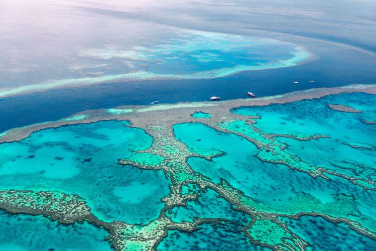 The Great Barrier Reef: Votre guide ultime de l'émerveillement naturel de l'Australie