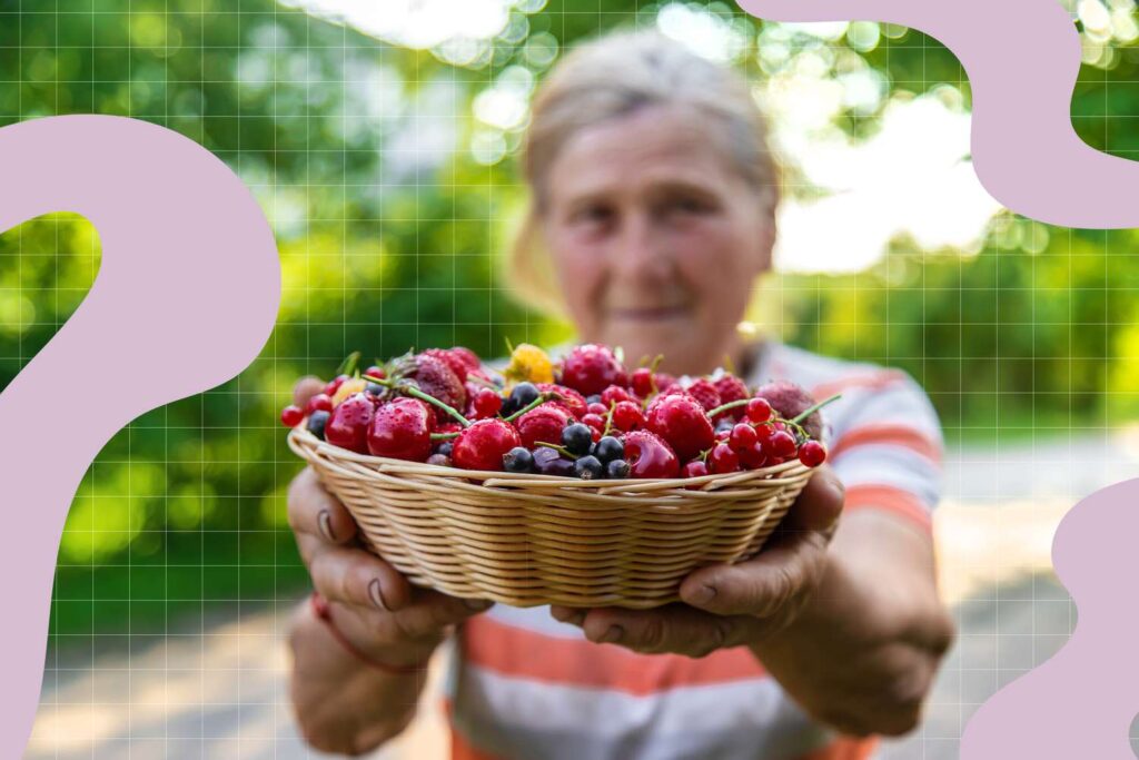 Comment stocker les bleuets pour les avoir toujours sous la main