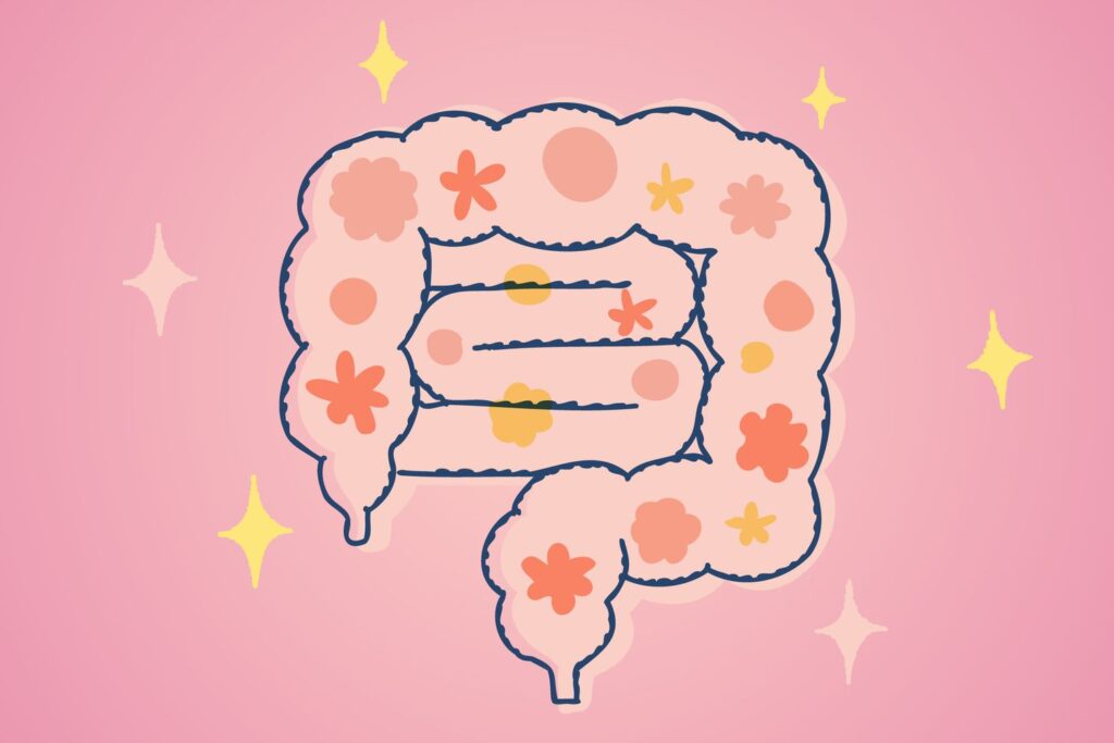 Votre santé intestinale peut affecter la longévité