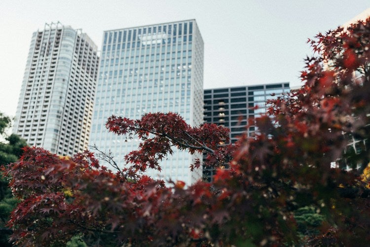 Festival Tori no Ichi : Prier pour la prospérité à Asakusa et Shinjuku
