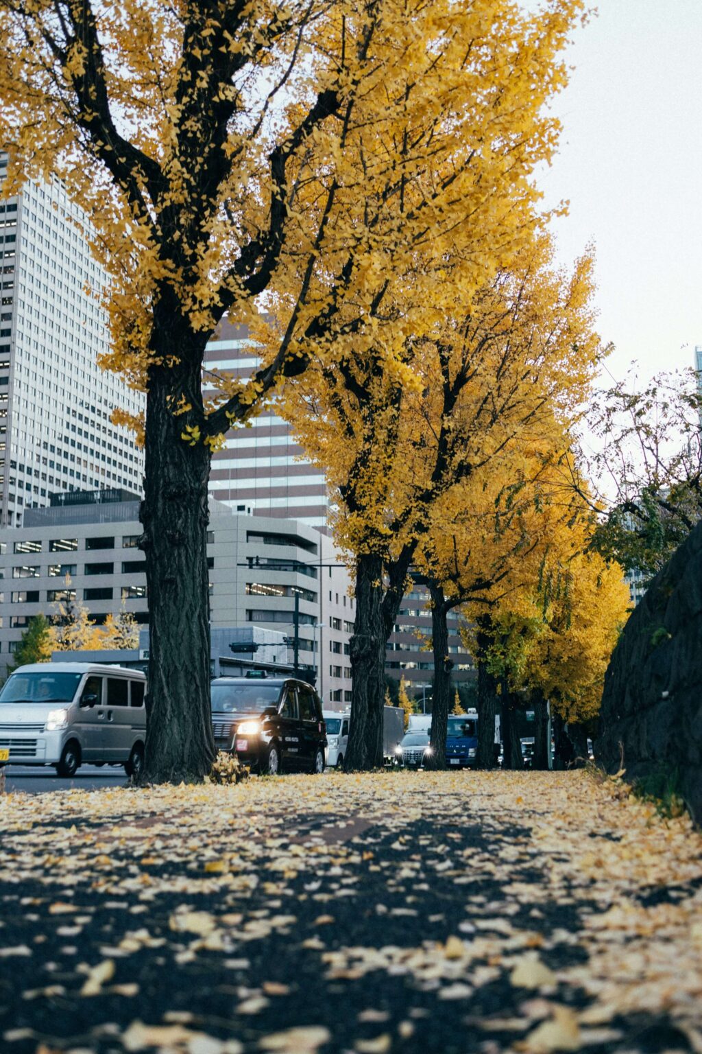 Les événements gastronomiques de novembre à Tokyo : une visite culinaire à travers la capitale