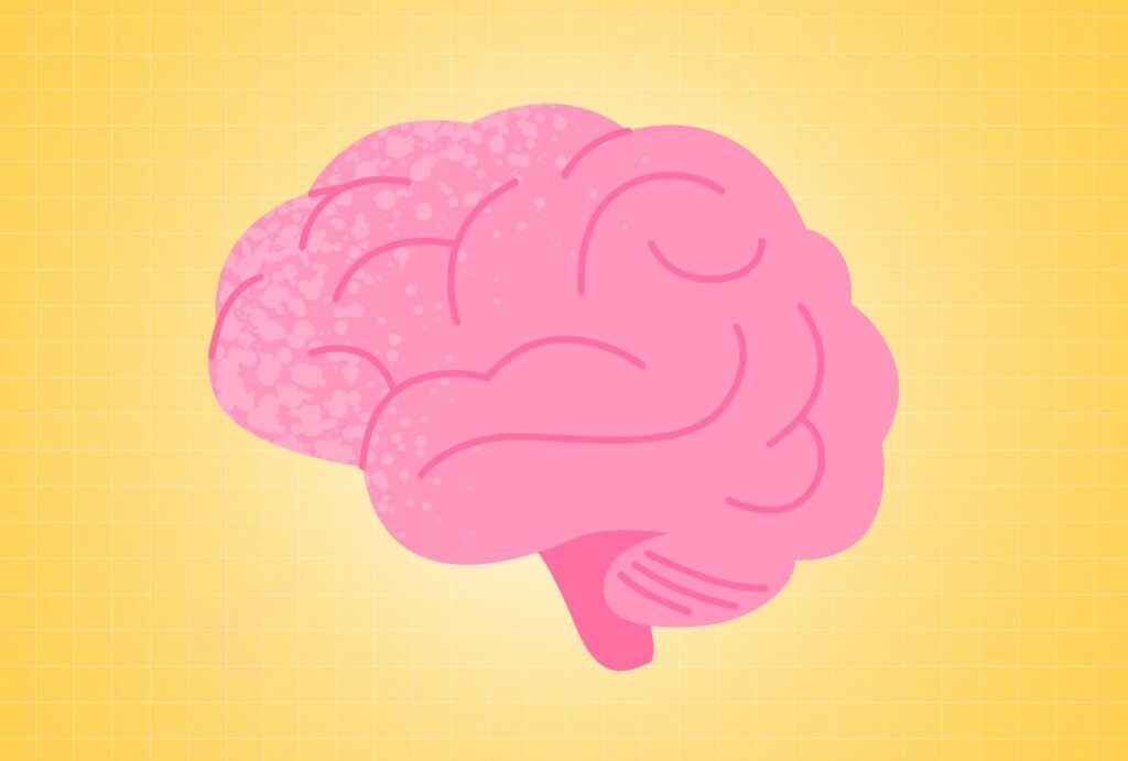 La perte de poids peut aider le cerveau à rester plus jeune