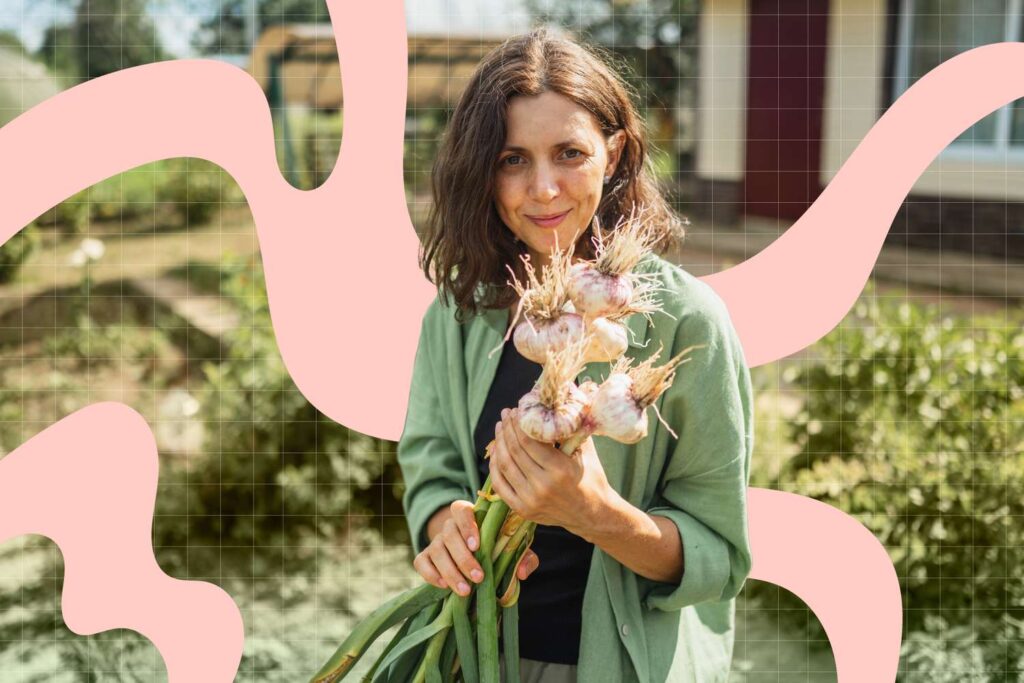 Avantages de l'ail et comment le conserver