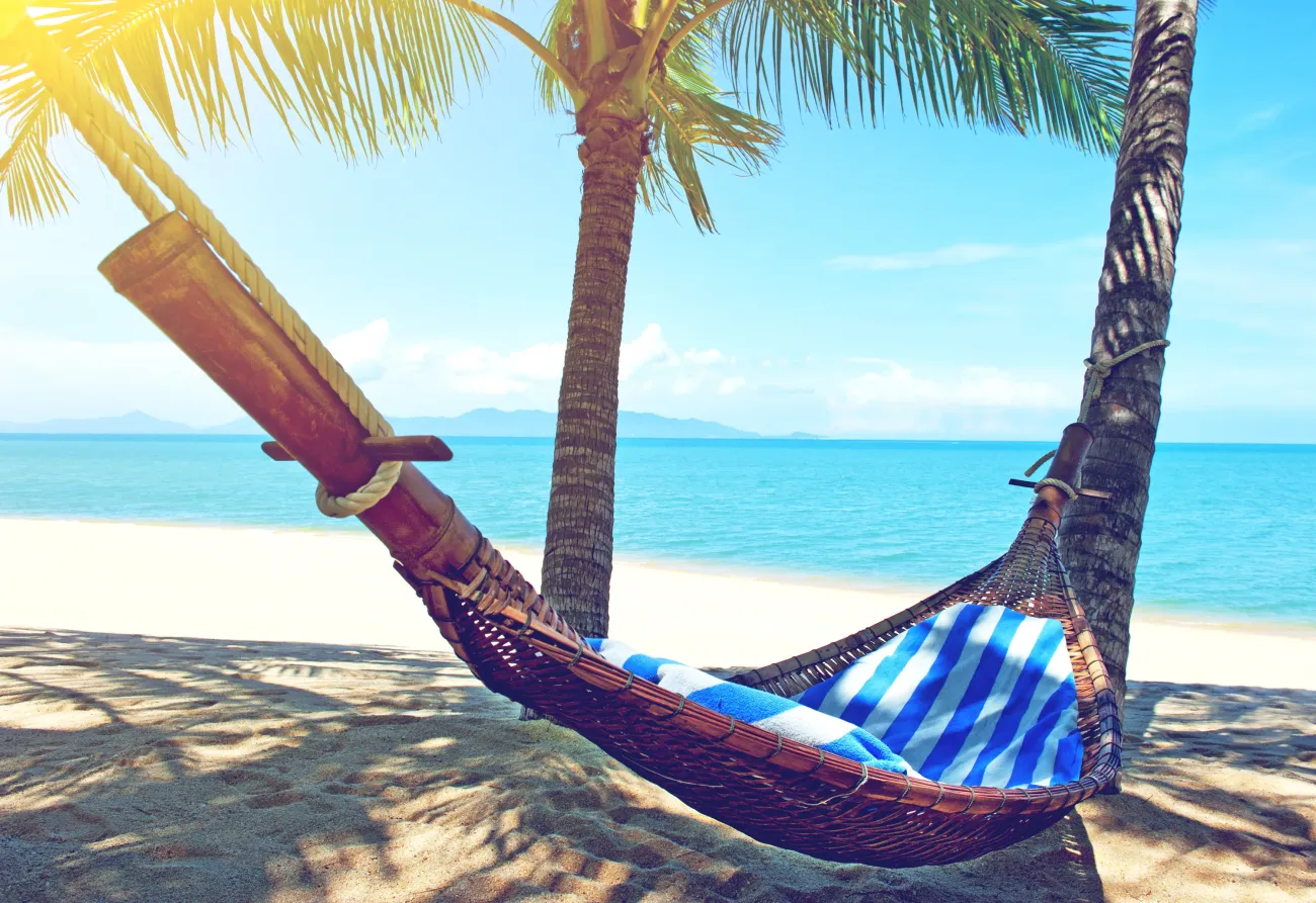 Hamac vide entre palmiers et plage de Sany
