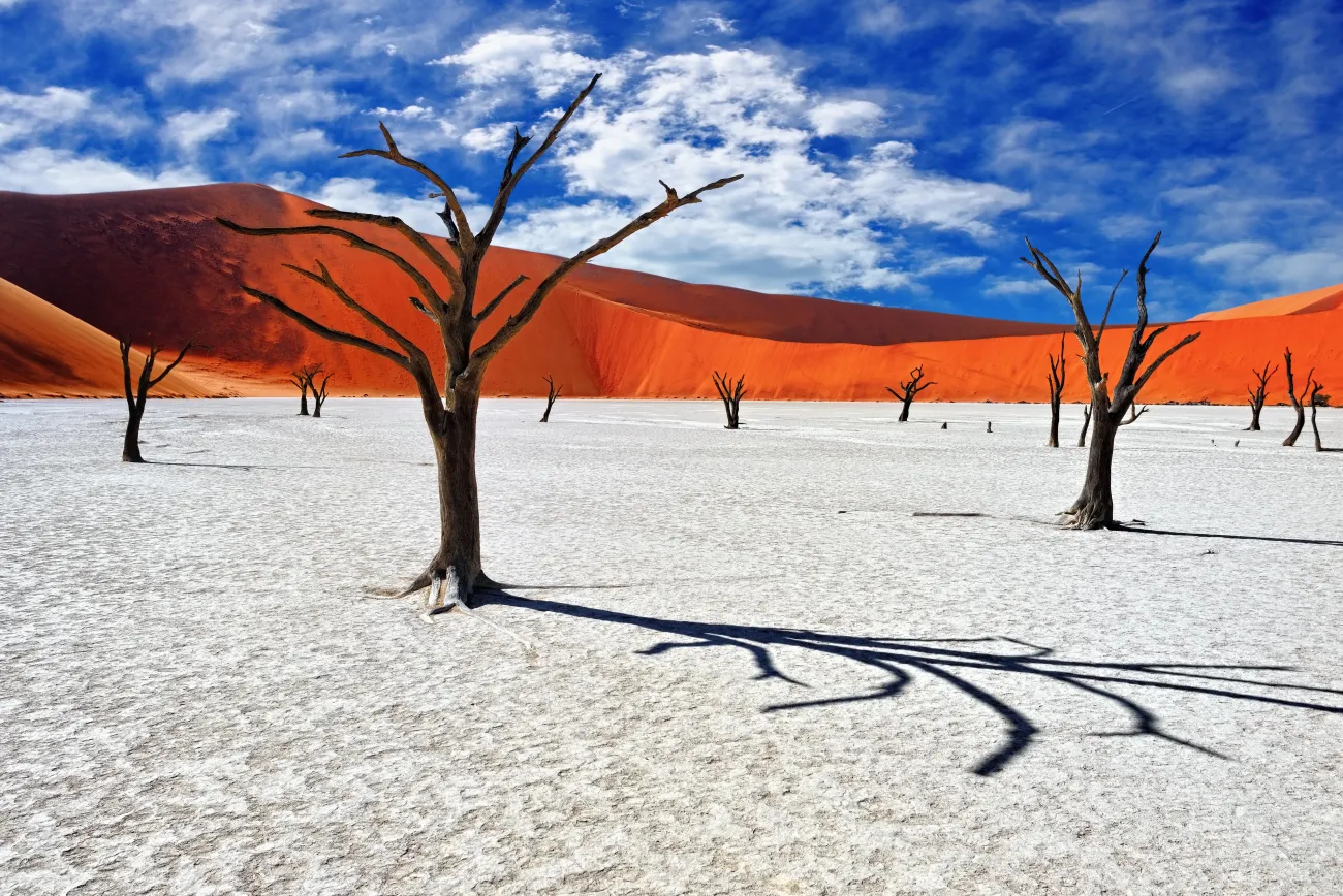 Deadvlei, Sossusvlei. Namibie