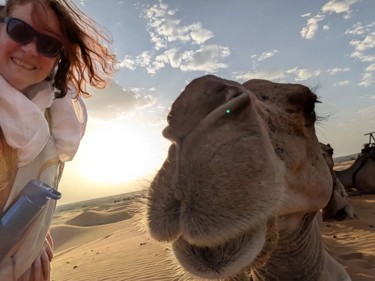 Gros plan sur le visage d'un chameau avec un voyageur prenant un selfie au coucher du soleil dans les dunes de sable du désert.
