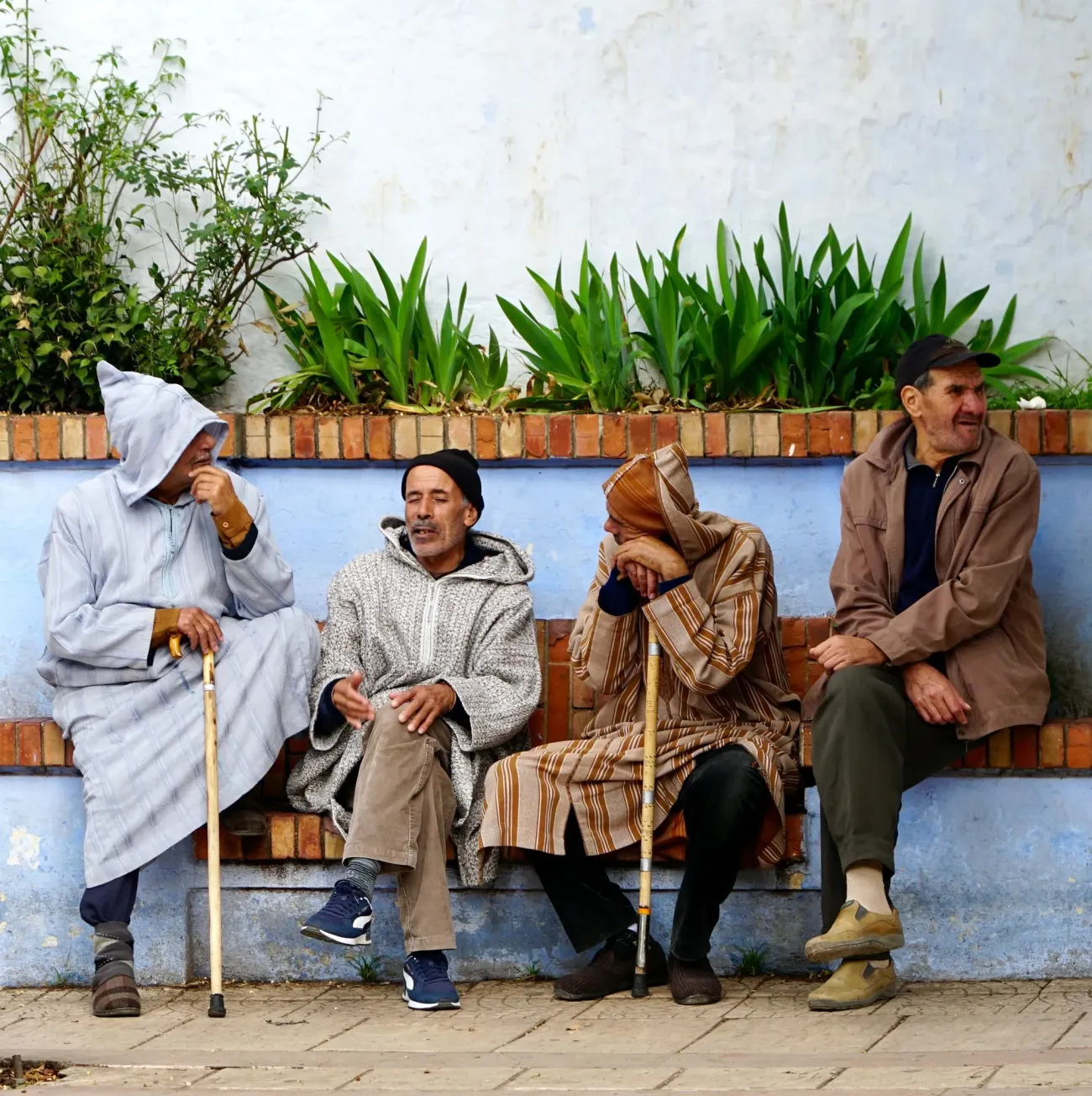 Quatre hommes assis sur un banc peint en bleu dans la médina de Chefchaouen, au Maroc, discutant et s'appuyant sur des cannes de marche.