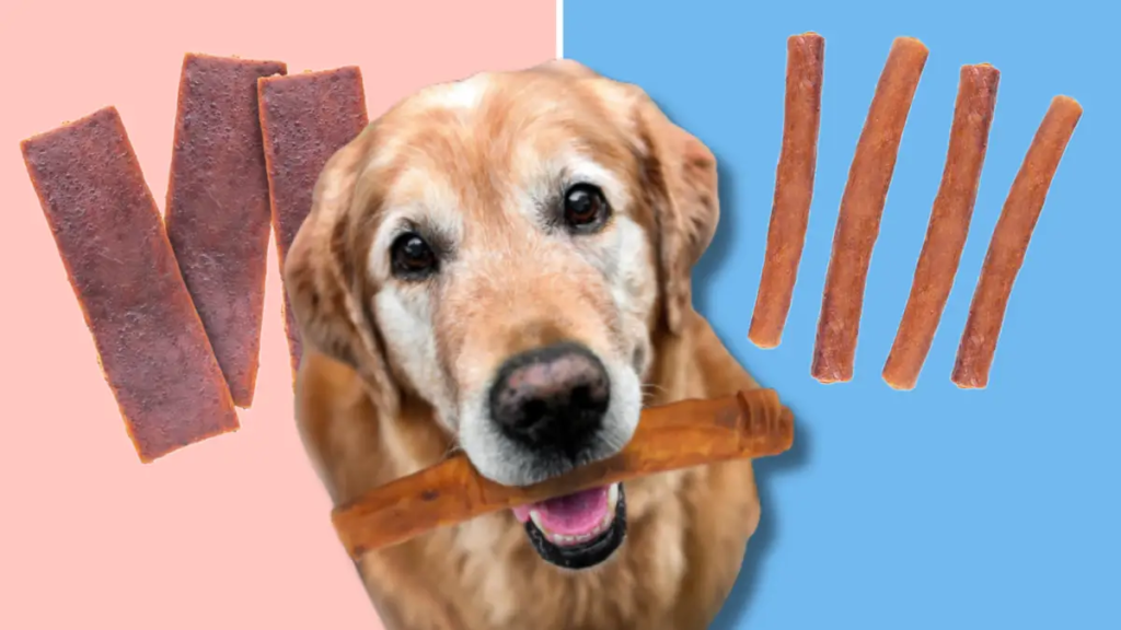 Les meilleures friandises à mâcher durables de ProHide pour chiots qui aiment relever des défis