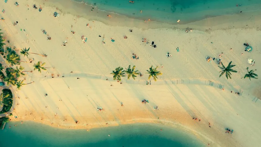 Une enquête révèle : quelles plages américaines ont la meilleure étiquette ? (2026)