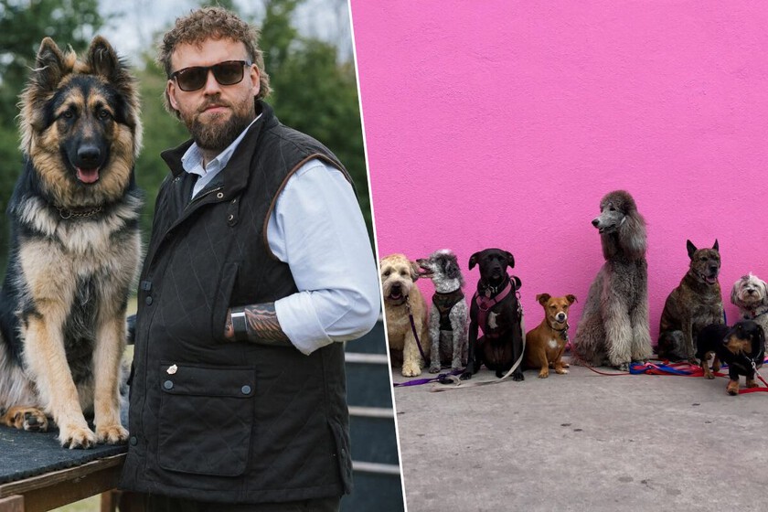 Will Aterthon, dresseur de chiens professionnel : "Si je ne pouvais avoir que trois courses, ce sont celles-là que je choisirais"