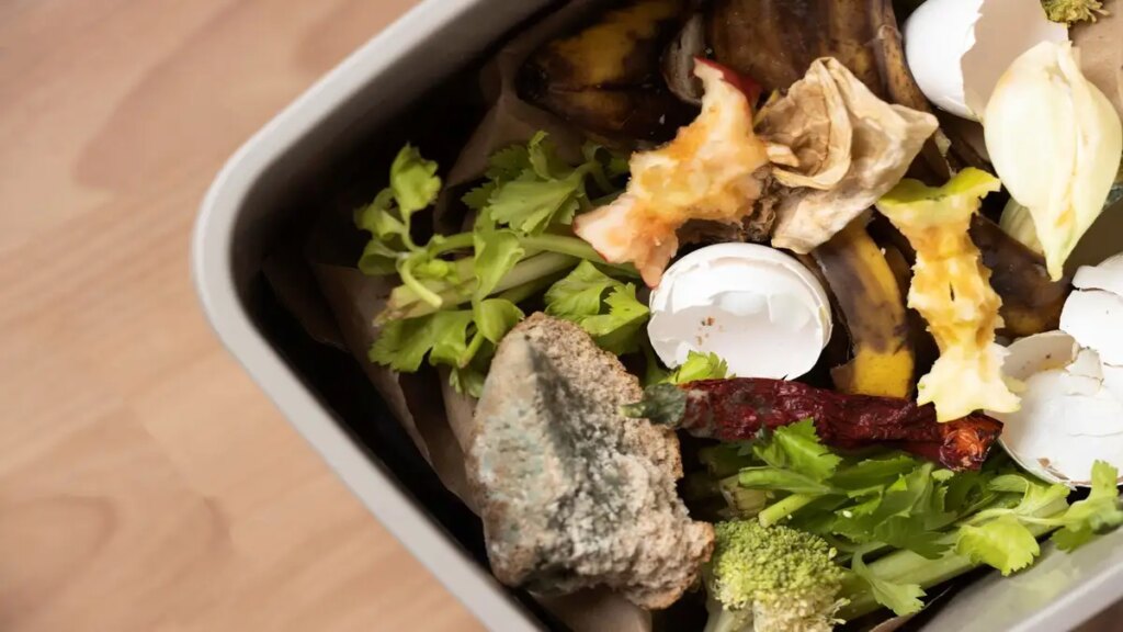 Comment composter chez soi en 4 étapes faciles