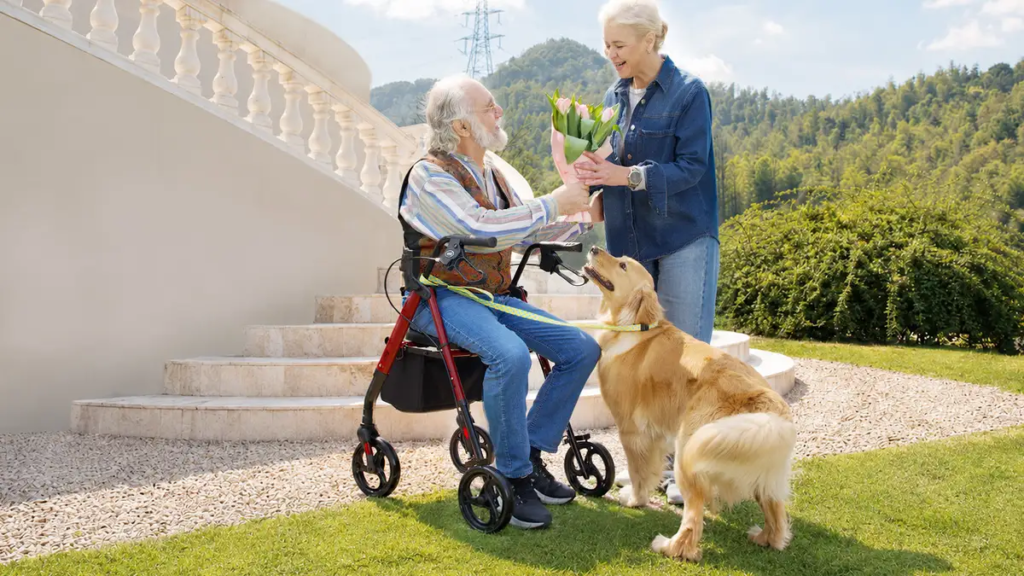 Aides à la mobilité pour seniors : nos quatre meilleurs déambulateurs et rollators pour l’autonomie au quotidien