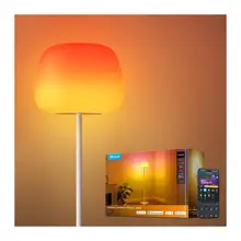 Product image of Govee Lantern Floor Lamp