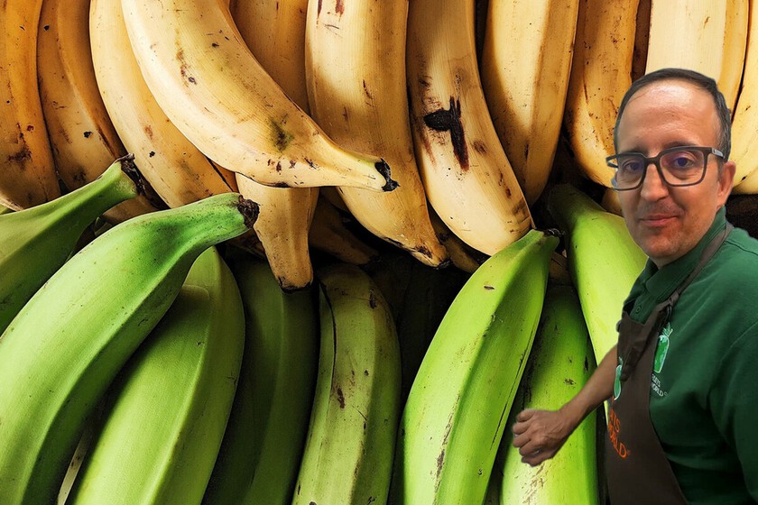 José Luis Caro, vendeur de fruits : "Pour éviter que les bananes noircissent rapidement, n'utilisez pas la coupe à fruits mais plutôt un récipient au réfrigérateur recouvert d'un film plastique."