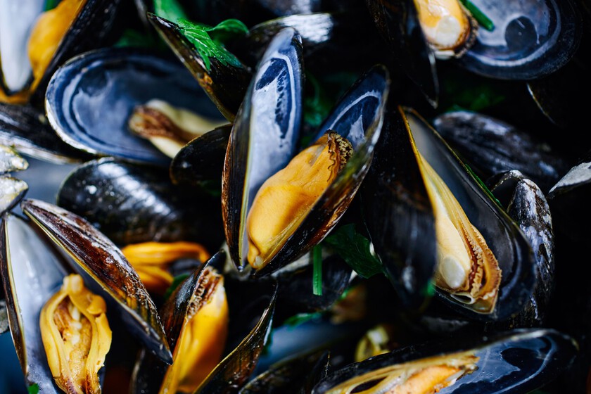 Nazareth, poissonnier : "Les moules les plus savoureuses et les plus faciles ne sont pas cuites à la vapeur, mais au micro-ondes en seulement 2 minutes"