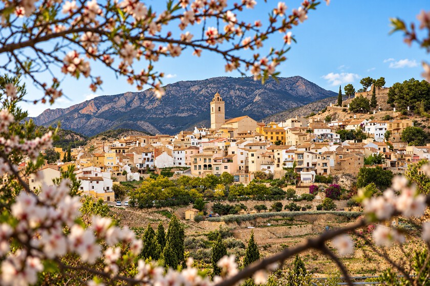 Ragoût de riz, montagnes et châteaux anciens : c'est l'une des plus belles villes de la Costa Blanca et d'Espagne en automne